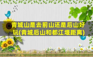 青城山是去前山还是后山好玩(青城后山和都江堰距离)