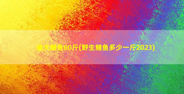 最大鳝鱼60斤(野生鳝鱼多少一斤2023)