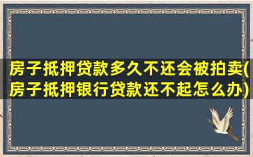 房子抵押贷款多久不还会被拍卖(房子抵押银行贷款还不起怎么办)