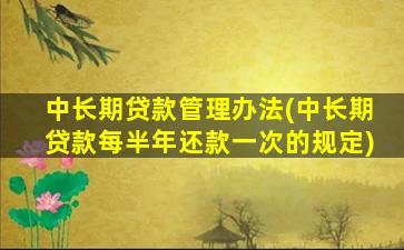 中长期贷款管理办法(中长期贷款每半年还款一次的规定)