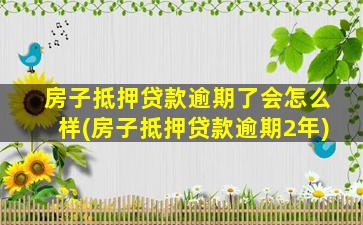 房子抵押贷款逾期了会怎么样(房子抵押贷款逾期2年)