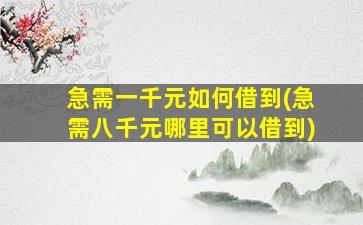 急需一千元如何借到(急需八千元哪里可以借到)