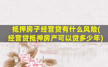 抵押房子经营贷有什么风险(经营贷抵押房产可以贷多少年)