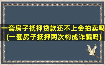 一套房子抵押贷款还不上会拍卖吗(一套房子抵押两次构成诈骗吗)