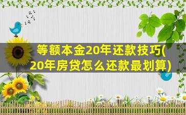 等额本金20年还款技巧(20年房贷怎么还款最划算)