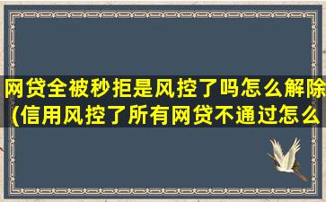 网贷全被秒拒是风控了吗怎么解除(信用风控了所有网贷不通过怎么办)