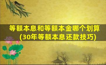 等额本息和等额本金哪个划算(30年等额本息还款技巧)