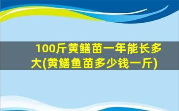 100斤黄鳝苗一年能长多大(黄鳝鱼苗多少钱一斤)