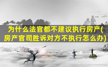为什么法官都不建议执行房产(房产官司胜诉对方不执行怎么办)