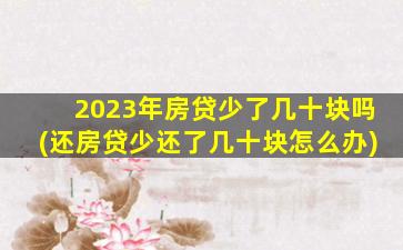 2023年房贷少了几十块吗(还房贷少还了几十块怎么办)