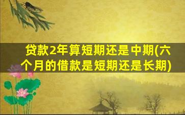 贷款2年算短期还是中期(六个月的借款是短期还是长期)