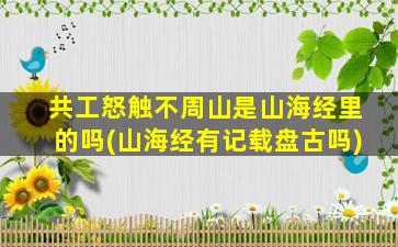 共工怒触不周山是山海经里的吗(山海经有记载盘古吗)