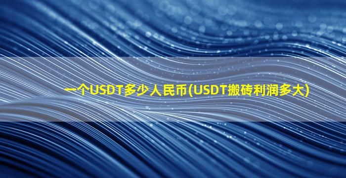 一个USDT多少人民币(USDT搬砖利润多大)