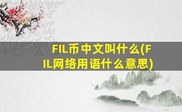 FIL币中文叫什么(FIL网络用语什么意思)
