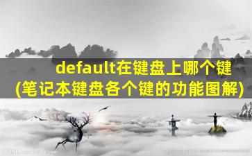 default在键盘上哪个键(笔记本键盘各个键的功能图解)