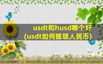 usdt和husd哪个好(usdt如何提现人民币)