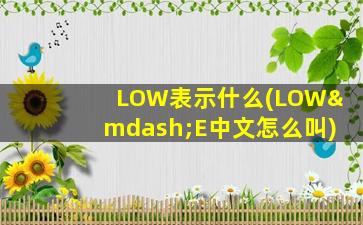 LOW表示什么(LOW—E中文怎么叫)