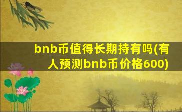 bnb币值得长期持有吗(有人预测bnb币价格600)