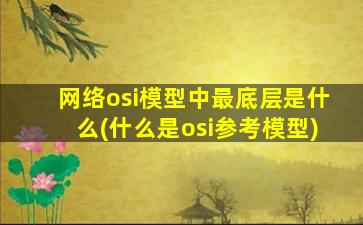 网络osi模型中最底层是什么(什么是osi参考模型)