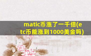 matic币涨了一千倍(etc币能涨到1000美金吗)