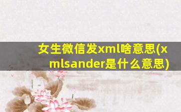 女生微信发xml啥意思(xmlsander是什么意思)