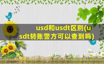 usd和usdt区别(usdt转账警方可以查到吗)