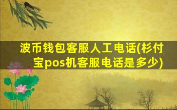 波币钱包客服人工电话(杉付宝pos机客服电话是多少)