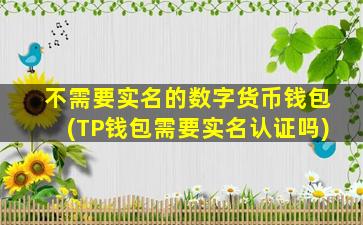 不需要实名的数字货币钱包(TP钱包需要实名认证吗)