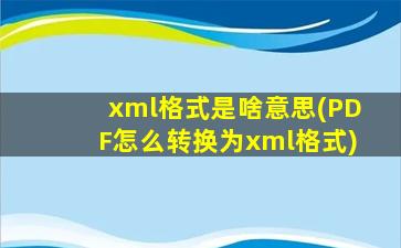 xml格式是啥意思(PDF怎么转换为xml格式)