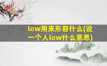 low用来形容什么(说一个人low什么意思)