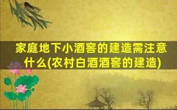 家庭地下小酒窖的建造需注意什么(农村白酒酒窖的建造)