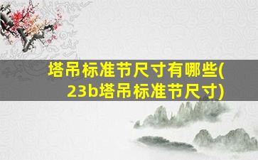塔吊标准节尺寸有哪些(23b塔吊标准节尺寸)