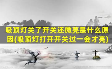 吸顶灯关了开关还微亮是什么原因(吸顶灯打开开关过一会才亮)