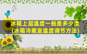 冰箱上层温度一般是多少度(冰箱冷藏室温度调节方法)