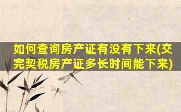 如何查询房产证有没有下来(交完契税房产证多长时间能下来)