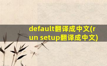 default翻译成中文(run setup翻译成中文)