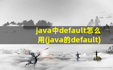 java中default怎么用(java的default)