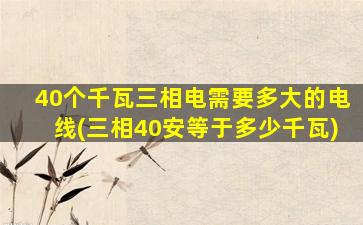 40个千瓦三相电需要多大的电线(三相40安等于多少千瓦)