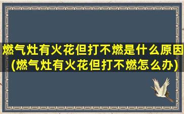 燃气灶有火花但打不燃是什么原因(燃气灶有火花但打不燃怎么办)