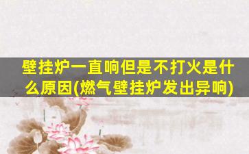 壁挂炉一直响但是不打火是什么原因(燃气壁挂炉发出异响)