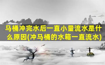 马桶冲完水后一直小量流水是什么原因(冲马桶的水箱一直流水)