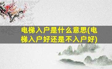 电梯入户是什么意思(电梯入户好还是不入户好)