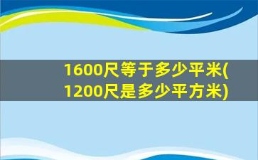 1600尺等于多少平米(1200尺是多少平方米)