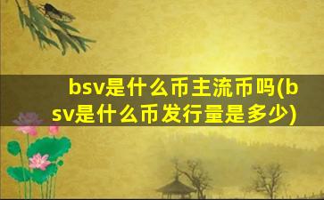 bsv是什么币主流币吗(bsv是什么币发行量是多少)