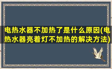 电热水器不加热了是什么原因(电热水器亮着灯不加热的解决方法)