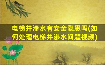 电梯井渗水有安全隐患吗(如何处理电梯井渗水问题视频)