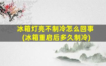 冰箱灯亮不制冷怎么回事(冰箱重启后多久制冷)