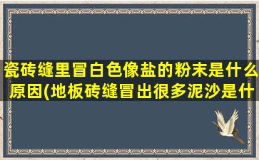 瓷砖缝里冒白色像盐的粉末是什么原因(地板砖缝冒出很多泥沙是什么)