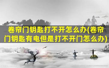 卷帘门钥匙打不开怎么办(卷帘门钥匙有电但是打不开门怎么办)