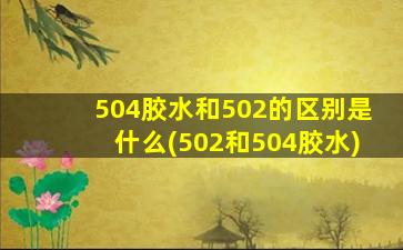 504胶水和502的区别是什么(502和504胶水)